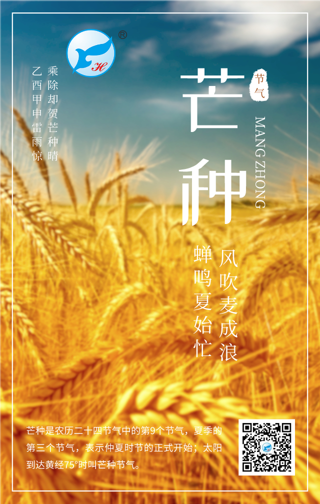 芒种.jpg