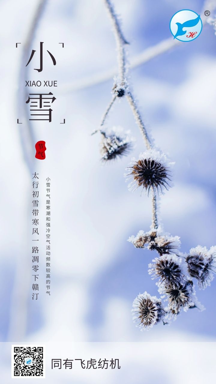 飞虎--小雪-2.jpg